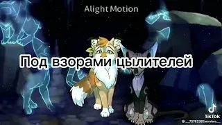 Гимн коты воители