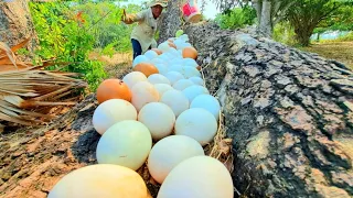 Wow Wow Amazing! A farmer catches a duck on a tree trunk