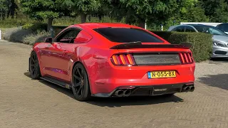 Ford Mustang GT 5.0 V8 - Burnouts, Accelerations & Revs !