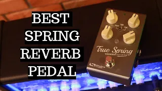 BEST SPRING REVERB PEDAL: Source Audio True Spring Reverb Demo