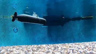 A Pair of German Type 212 RC Submarines Patrol the Pool!