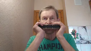 Bubble - Agnetha Faltskog - Chromatic Harmonica By M. Hohner