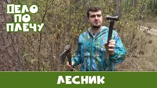 Дело по плечу № 30 (Лесник)