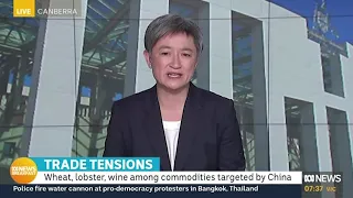 Penny Wong - ABC News Breakfast