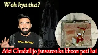 Woh kya tha _ janvaron ka khoon piny wali chudail 26 October 2022