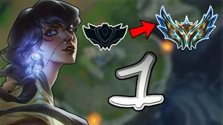 the ONLY educational Nilah (Episode 1 Road to Challenger)