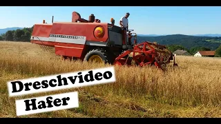 Dreschen mit einem Massey Ferguson 520