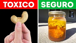 100 Cosas Prohibidas en Todo el Mundo que te Dejarán Atónito!