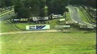 Aurora Brands Hatch 1979 Part4 (Ricardo Zunino)