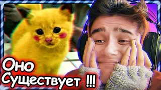 СМЕШНЫЕ КОТЯТА И ЩЕНКИ | САМОЕ МИЛОЕ ВИДЕО В МИРЕ ПРО КОШЕК И СОБАК ♡♡♡