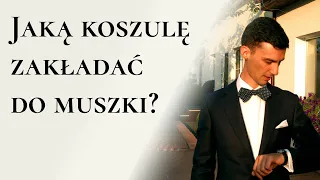 Jaką koszulę zakładać do muszki?