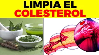 ¡ESTA es LA MEJOR HIERBA Para BAJAR el COLESTEROL de forma natural