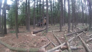 SKIDDER PULLING DOWN HUNG UP TREE FOR ME