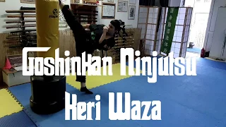 Goshinkan Ninjutsu  - Mawashi Geri Waza