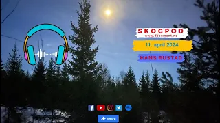 Skogpod 11. april 2024