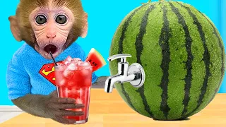 Monkey BonBon Make Watermelon Juice and Swim with a Cute Puppy - BonBon Farm