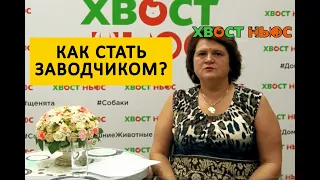 Как стать заводчиком собак или кошек?