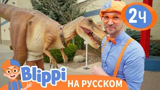 Блиппи встречает Динозавра🦖 Новая Серия! | Изучай этот мир вместе с Блиппи | Blippi Russian