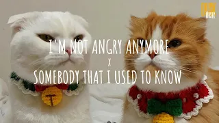 I'm Not Angry Anymore X Somebody That I Used To Know (Vietsub + Lyric) | Tik Tok Song