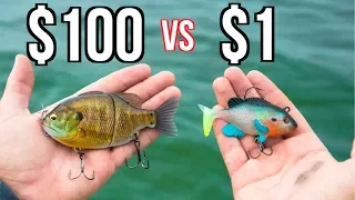 CHEAP vs EXPENSIVE Swimbait Fishing CHALLENGE!!!!