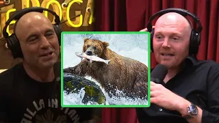 Bill Burr and Joe Rogan Talks About Bear & Elk