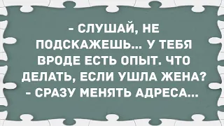 Что делать, если ушла жена? Сборник Свежих Анекдотов! Юмор!