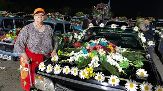 Узбекистан! Идёт в полную силу подготовка на фестиваль цветов, отдыхаем в парке, закупаем продукты
