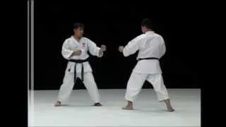 Bunkai Paiku