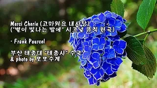 Merci Cherie (고마워요 내사랑)/Frank Pourcel & photo by 모모수계