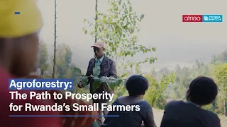 Agroforestry: The Path to Prosperity for Rwanda’s Small Farmers