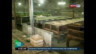 NTG: Lalaking nagbebenta umano ng tangke-tangkeng corals at iba pang lamandagat, huli