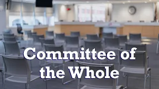 2024.05.28 Committee of the Whole Meeting/Executive Session