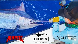 BEERS AND BILLFISH EP 3 | CAIRNS BLACK MARLIN | SPEARFISHING DOGTOOTH TUNA