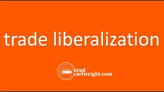 What is Trade Liberalization? | IB Development | The Global Economy | IB Economics Exam Review