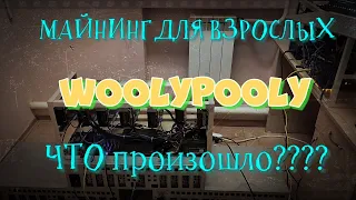 МАЙНИНГ ДЛЯ ВЗРОСЛЫХ! | woolypooly | ЧТО ПРОИЗОШЛО???
