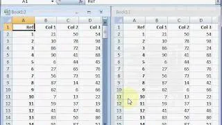 Tip of the Day - how to see two sheets at once