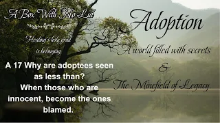 A 17 Why are adoptees seen as less than?When those who are innocent, become the ones blamed.
