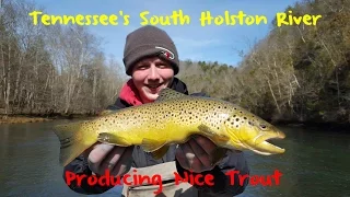 Trout Fishing Tennessee's Holston River