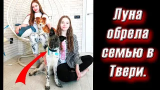 Встреча Луны со своим СЧАСТЬЕМ🥲😍Как Луна обрела Дом🙏❤️