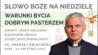 Warunki bycia dobrym pasterzem - Słowo na niedzielę - 21 kwietnia 2024