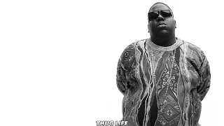 The Notorious B.I.G - Suicidal Thoughts (Remix 2022)