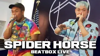 SPIDER HORSE | BEATBOX LIVE IN MEDAN,INDONESIA 2023 (Crowd POV)!