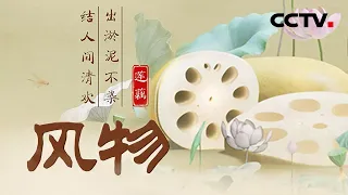 全身都是宝！唯美美食纪录片《风物：莲藕》带你解锁莲藕的花样吃法！ | CCTV「风物」20220805