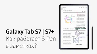 Как работает S Pen в заметках на Galaxy Tab S7 | S7+?