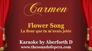 CARMEN KARAOKE 18 - La fleur que tu m'avais jetée (Flower song) | Aberforth D