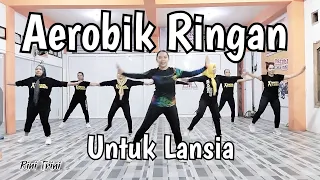 SENAM LANSIA MUSIK TERBARU | RINI TRINI