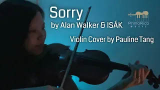 Sorry - Alan Walker & ISÁK | Violin Cover by Pauline Tang | PrimoRico Music