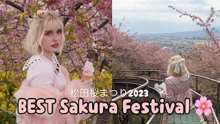 Early Blooming Sakura Festival - Matsuda, Japan 🇯🇵