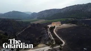 Drone footage shows aftermath of wildfires on 2,500-year-old Sicilian temple