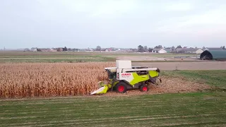 🔥🌽ŻNIWA QQ NOWYM NABYTKIEM CLAAS TRION 640 W UR WIERZCHOWSKI🔥🌽